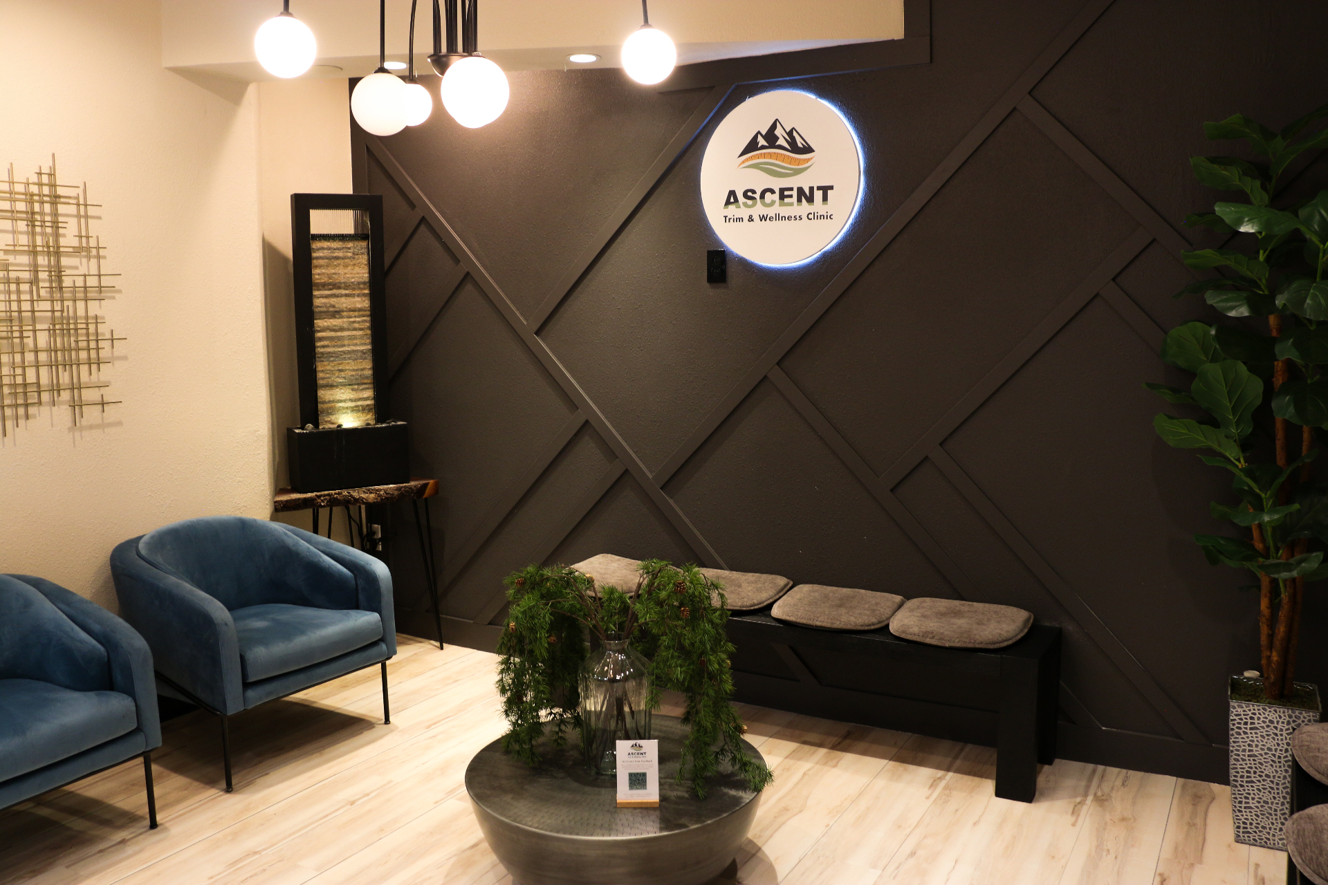Ascent Trim & Wellness clinic lobby with branded signage, water feature and calm seating
