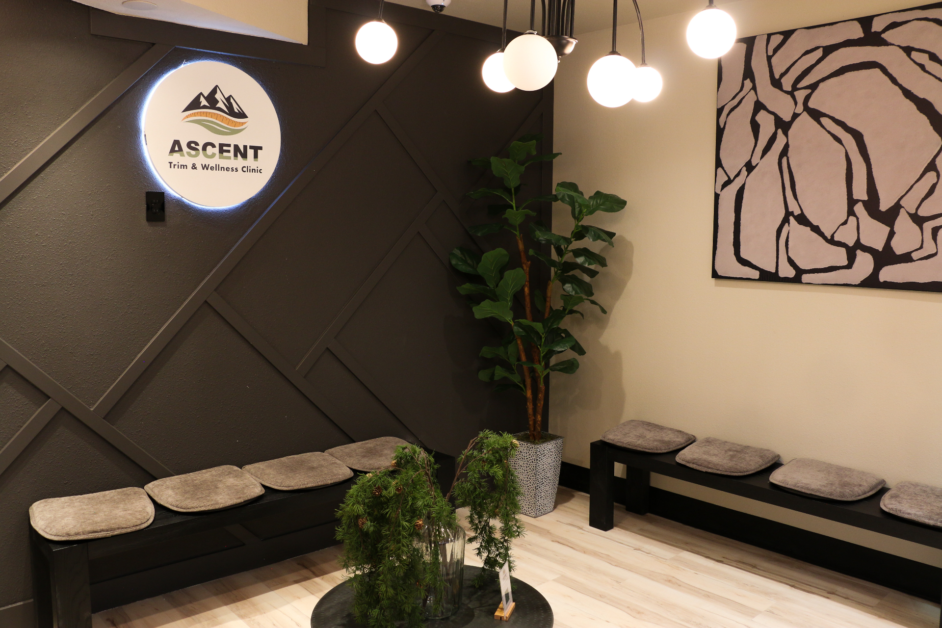 The Ascent Trim & Wellness clinic lobby with branded signage and calm seating